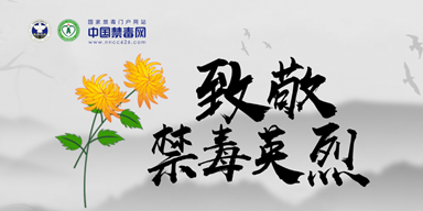 致敬禁毒英烈